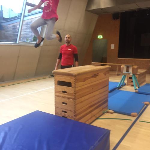 Hopsi Hopper