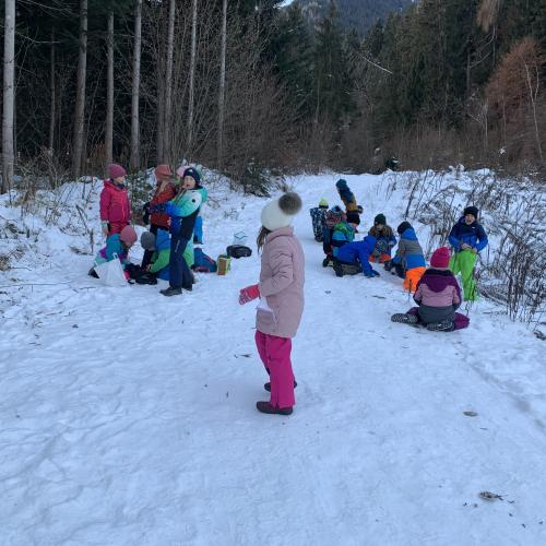 Waldweihnacht