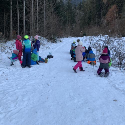 Waldweihnacht