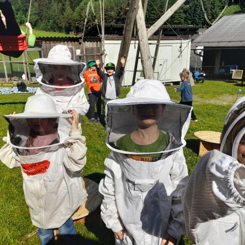 Bienen 1c