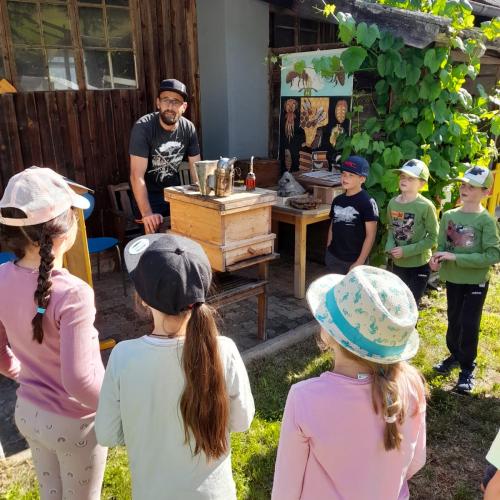 Bienen 1c