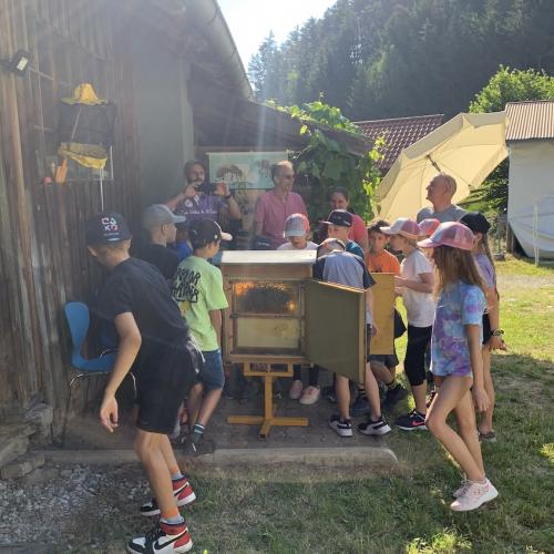 Bienen