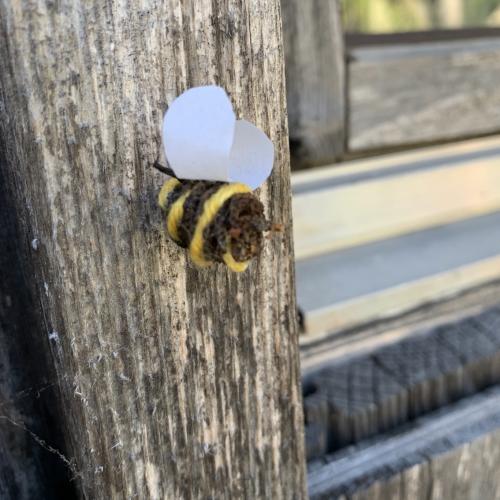 Bienen