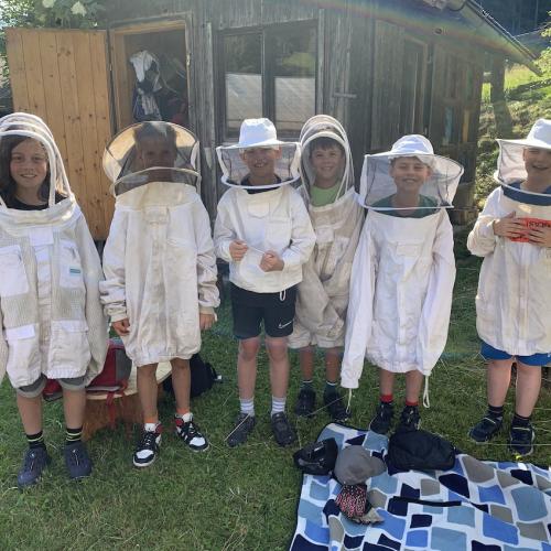 Bienen