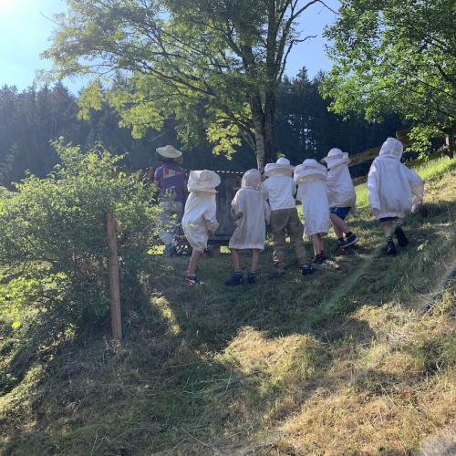 Bienen