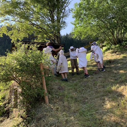 Bienen