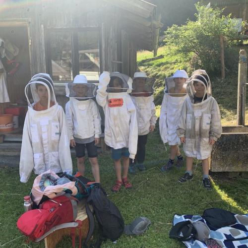 Bienen