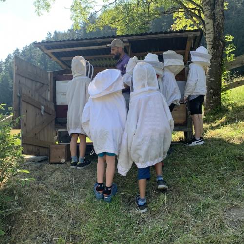 Bienen