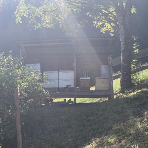Bienen
