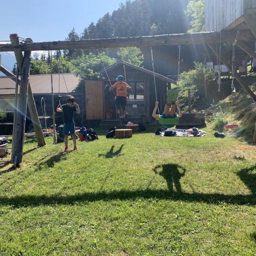 Bienen