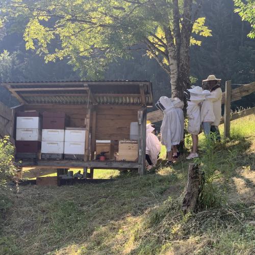 Bienen