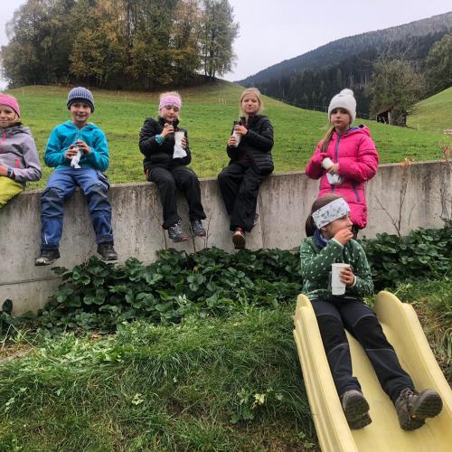 Kartoffelernte