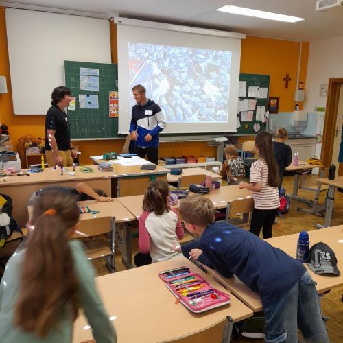 Bilderbuchkino