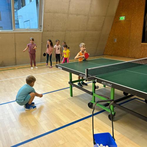 Tischtennis 1b
