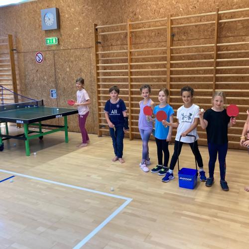 3b Tischtennis