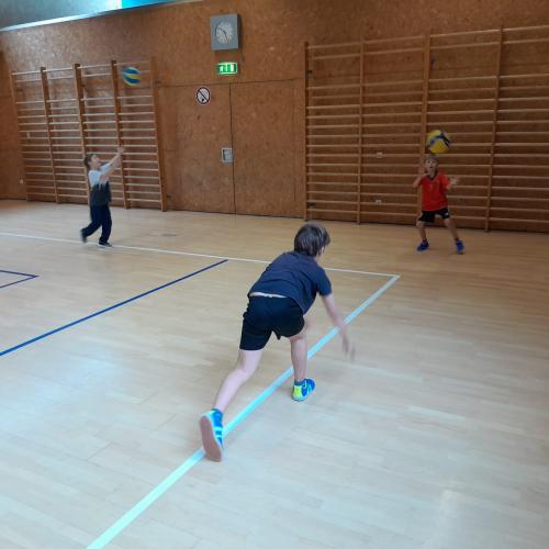Volleyball 2c