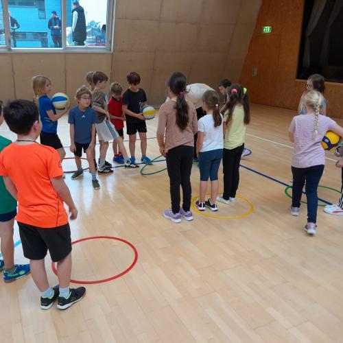 Volleyball 2c