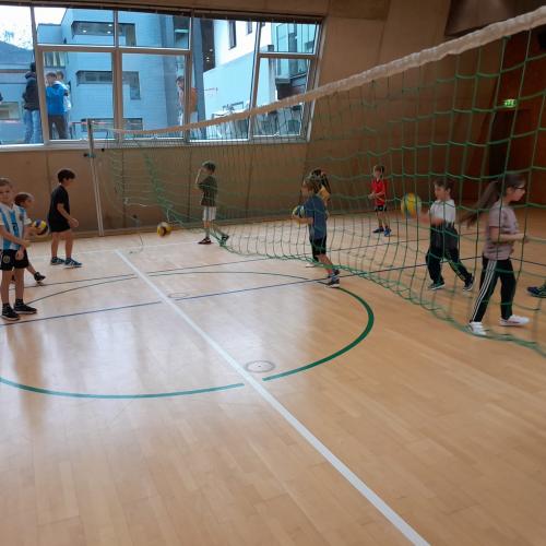 Volleyball 2c
