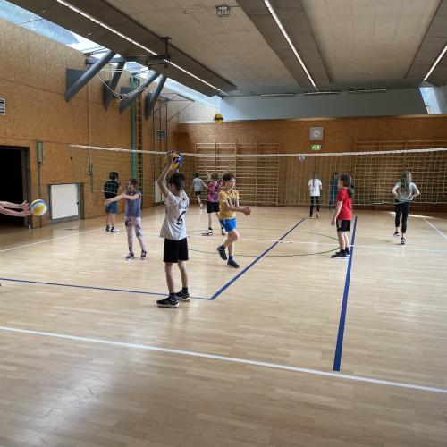 Volleyball
