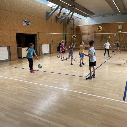 Volleyball