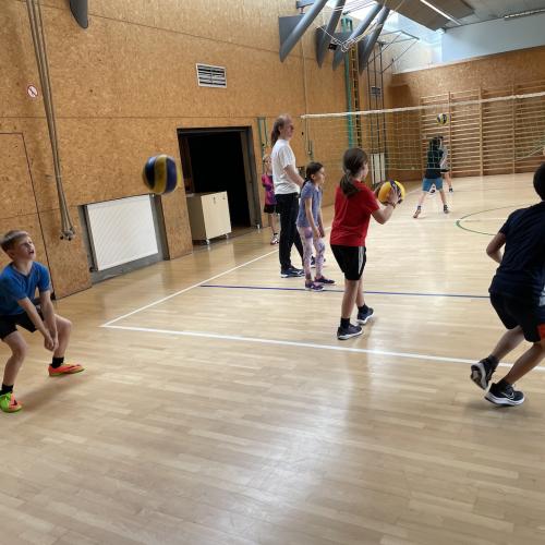 Volleyball