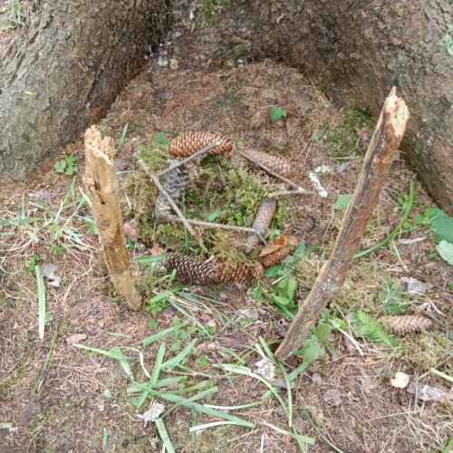 Waldtag