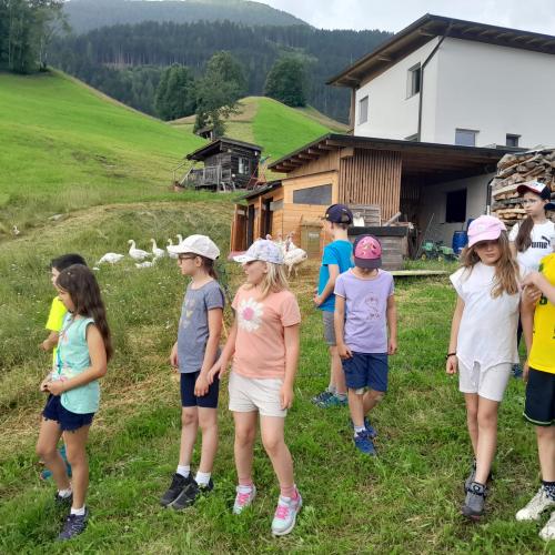 Bauernhof 2c