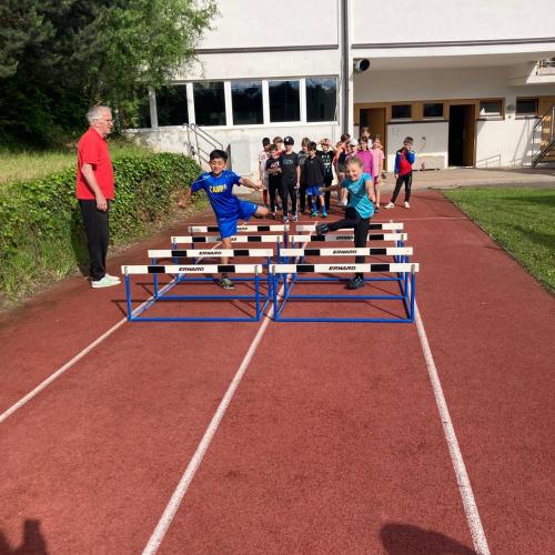 Hürde 3b