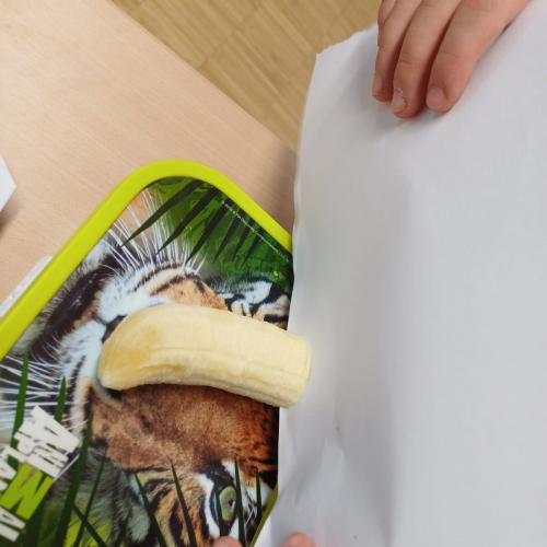 Papier und Piraten
