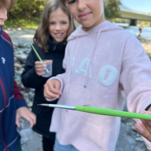 Wasserschule 4b