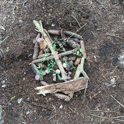 Kräuterwanderung 1a