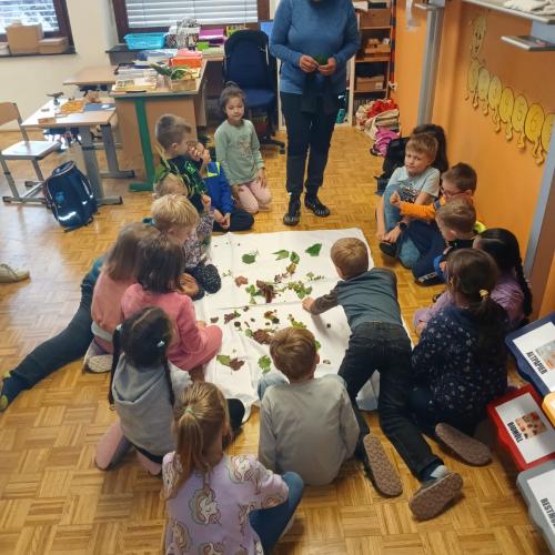 Kräuterwanderung 1a