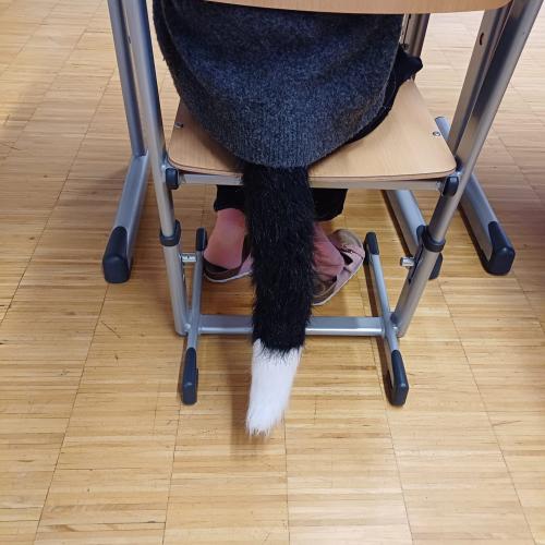 Fasching 2a