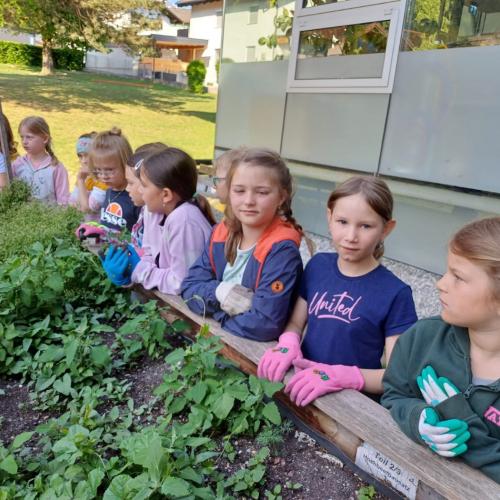 Blumenbeet 2.Klassen