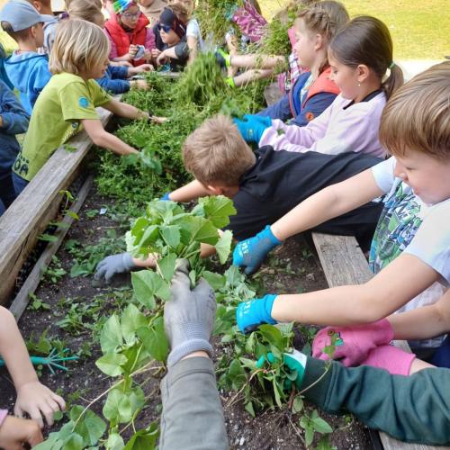 Blumenbeet 2.Klassen