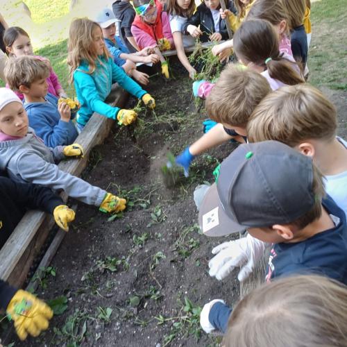 Blumenbeet 2.Klassen