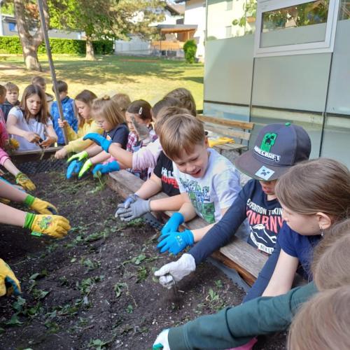 Blumenbeet 2.Klassen