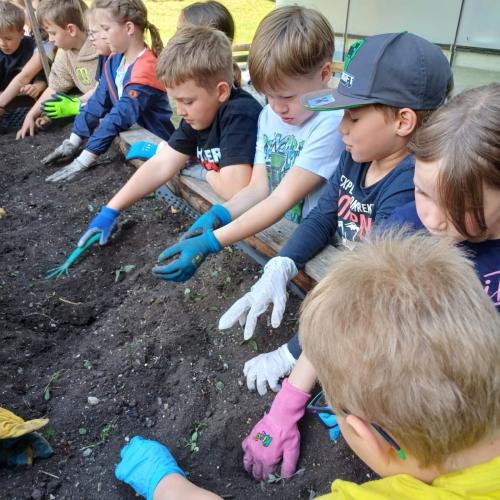 Blumenbeet 2.Klassen