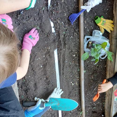 Blumenbeet 2.Klassen