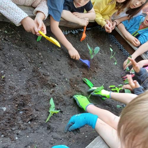 Blumenbeet 2.Klassen