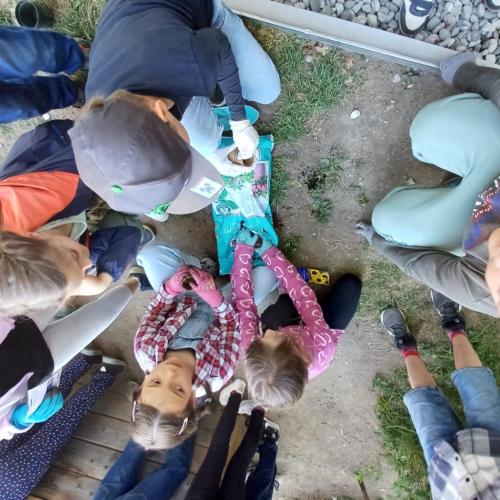 Blumenbeet 2.Klassen