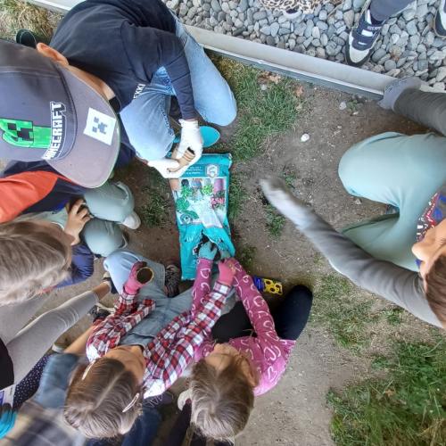 Blumenbeet 2.Klassen