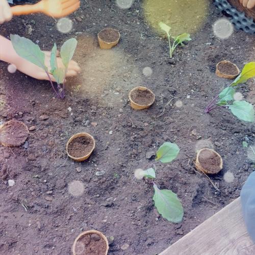 Blumenbeet 2.Klassen