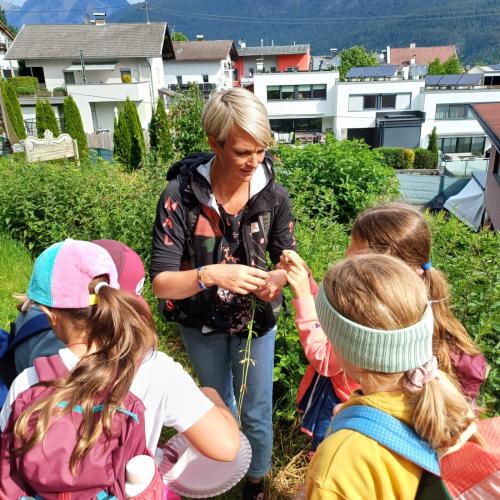 Kräuterwanderung 2a