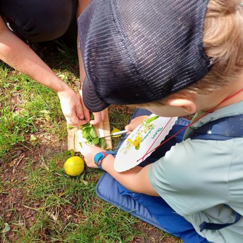 Kräuterwanderung 2a