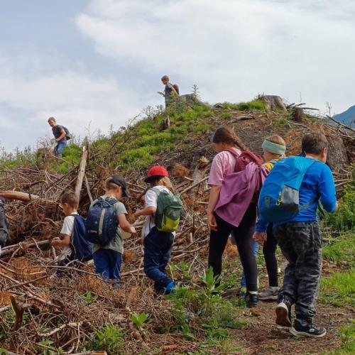 Kräuterwanderung 2a