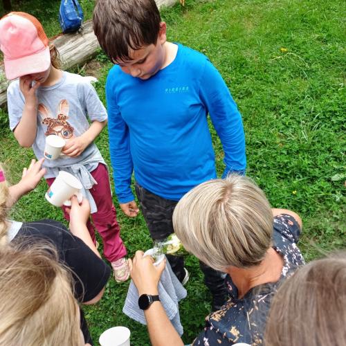 Kräuterwanderung 2a