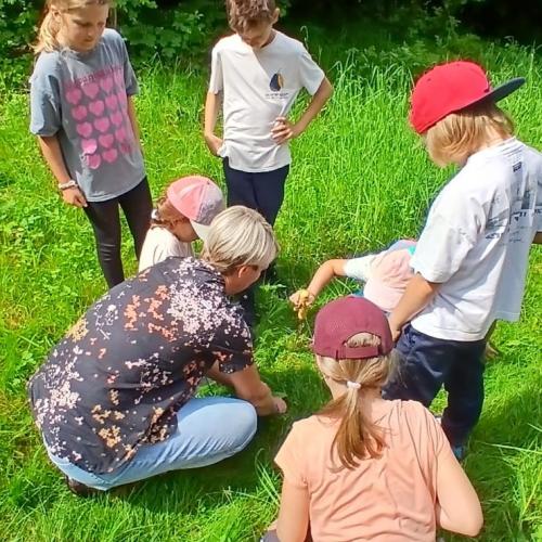 Kräuterwanderung 2a