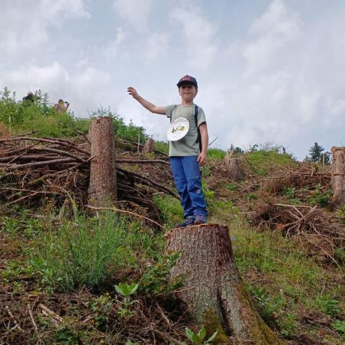 Kräuterwanderung 2a