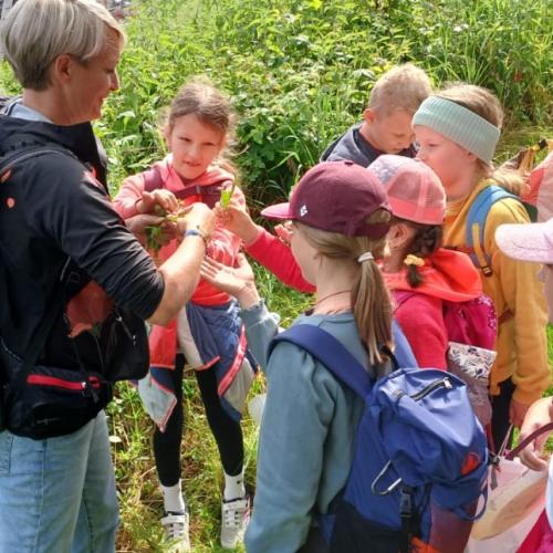 Kräuterwanderung 2a